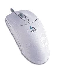 5kb
